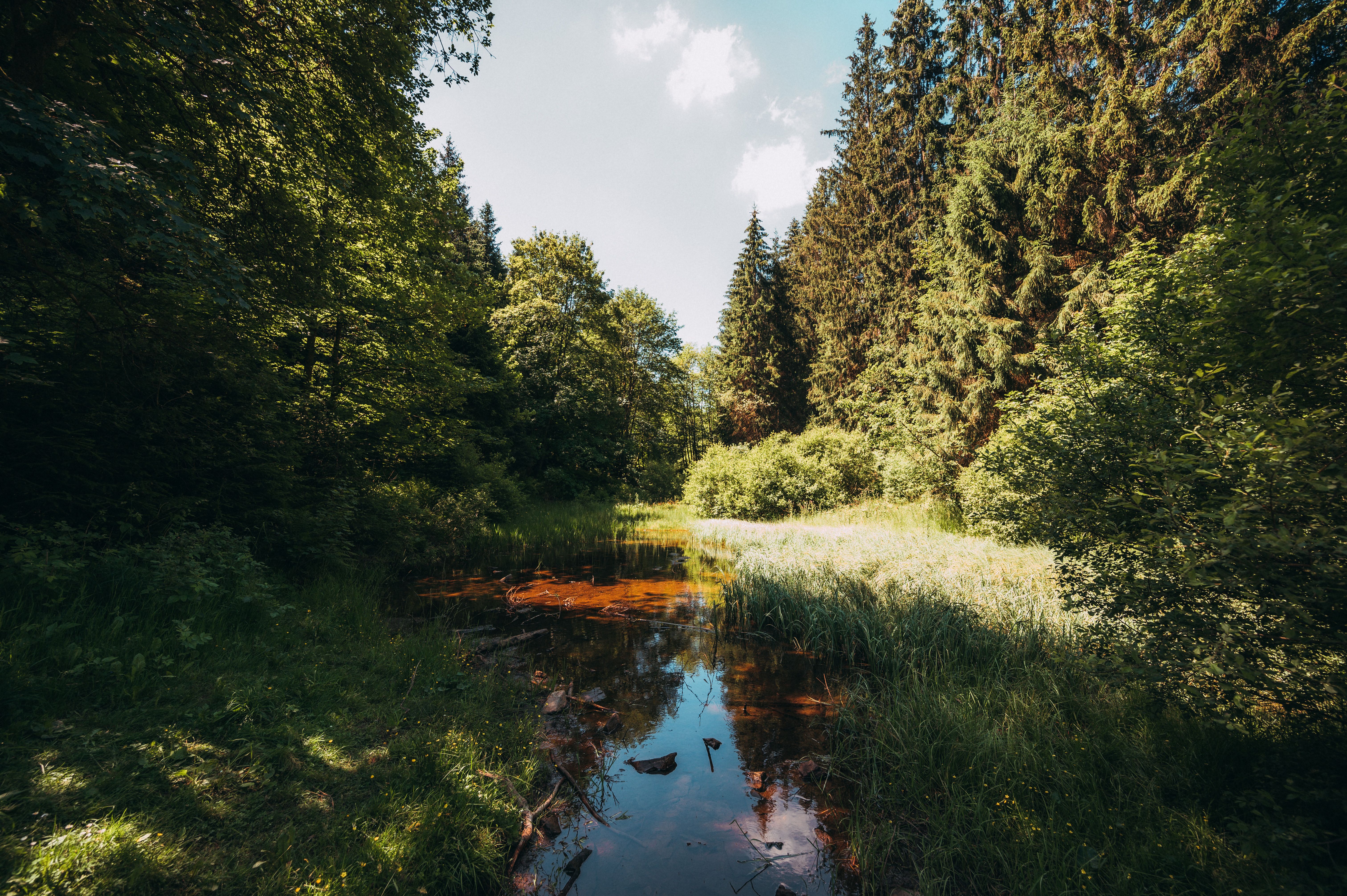 Johannes Höhn, Tourismus NRW e.V., Ein Bach am Kleinen Rothaar Märchenwanderweg