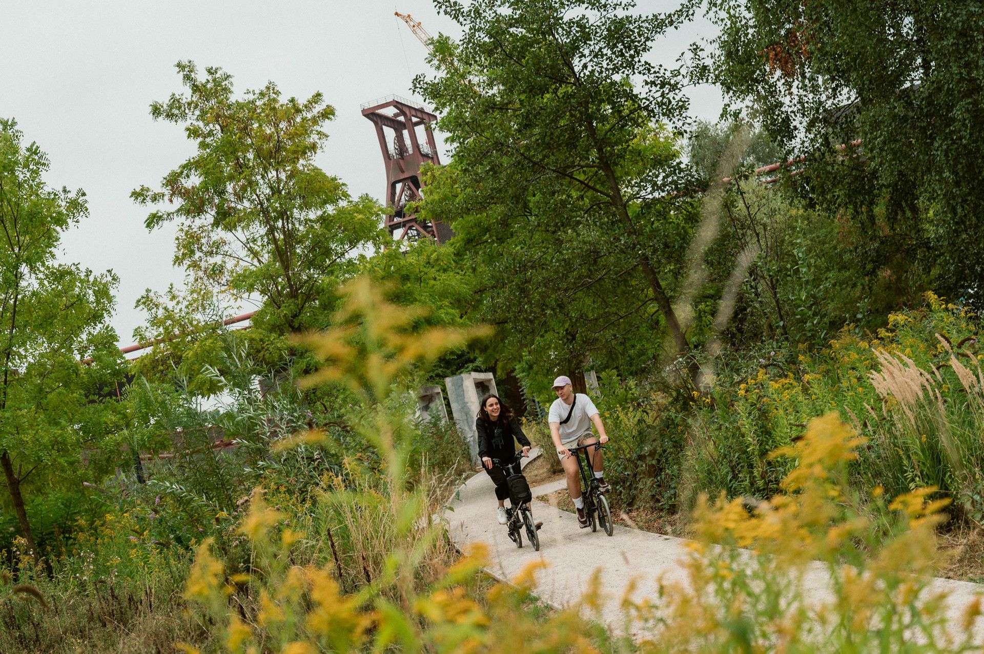 Natur pur auf Zollverein 